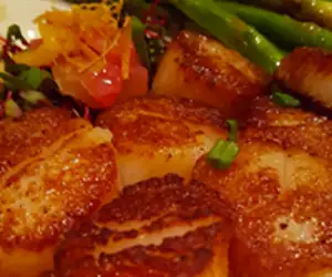 seared scallops dish